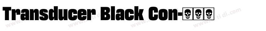 Transducer Black Con字体转换